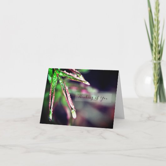 Regendruppeltjes op Leaf Denken aan je Kaart (Voorkant)