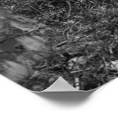 Regeneratie Poster (Hoek)