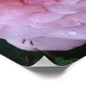 Regengedicht op een mooie roze roze met regendrupp poster (Hoek)