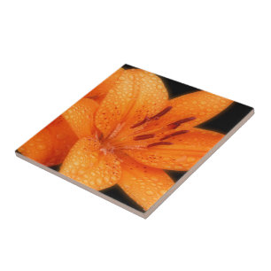 Regengekust Oranje-Aziatische tijgergelieerd Tegeltje