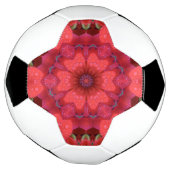 Regengekuste scharlaken caleidoscoop voetbal (Gedraaid)