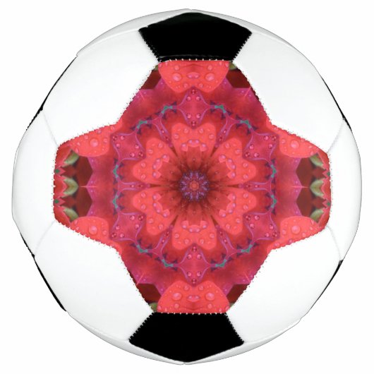 Regengekuste scharlaken caleidoscoop voetbal (Voorkant)