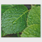 Regenregendruppelbladeren nat cadeaupapier (Vlak)