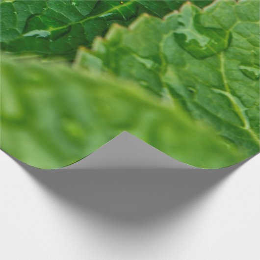 Regenregendruppelbladeren nat cadeaupapier (Hoek)