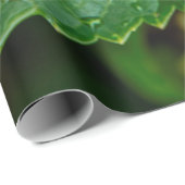 Regenregendruppelbladeren nat cadeaupapier (Rol Hoek)