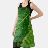 Regenregendruppelbladeren nat schort (Insitu)