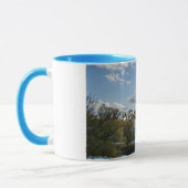 Regensburger Kaffeehaferl, Dom Mok (Links)