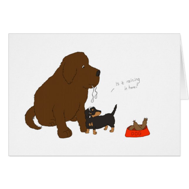 Regent het hier? (Voorkant Horizontaal)