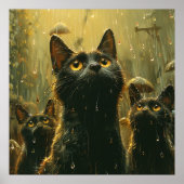 Regent het katten en honden? poster (Voorkant)