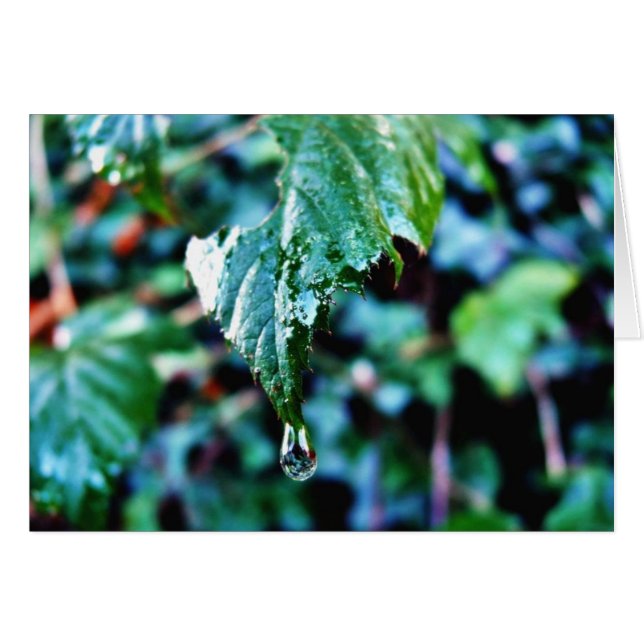 Regenval (Voorkant Horizontaal)