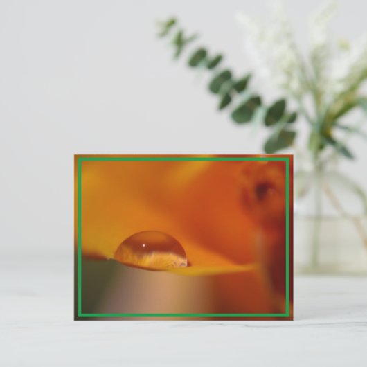 regenval briefkaart (Staand voorkant)