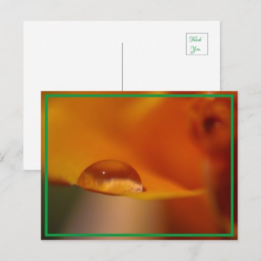 regenval briefkaart (Voorkant / Achterkant)