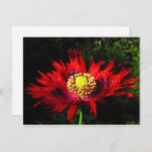 regenval briefkaart (Voorkant / Achterkant)