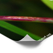 Regenval in gras poster (Hoek)