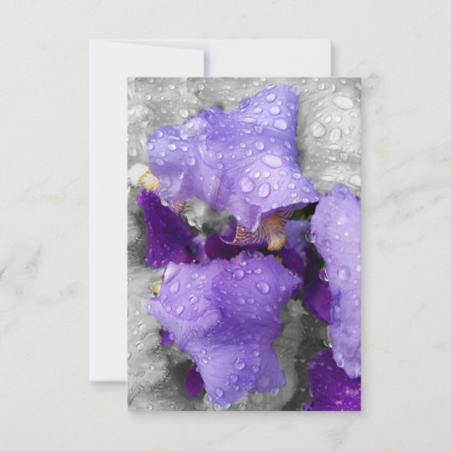 regenval in iris (Voorkant)