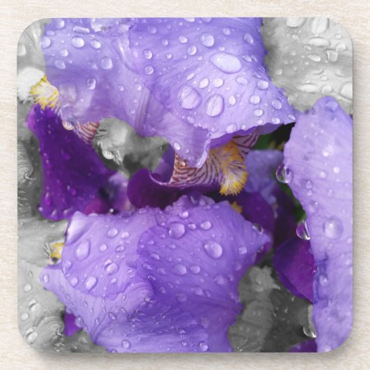 regenval in iris bier onderzetter (Voorkant)