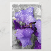 regenval in iris briefpapier (Voorkant / Achterkant)