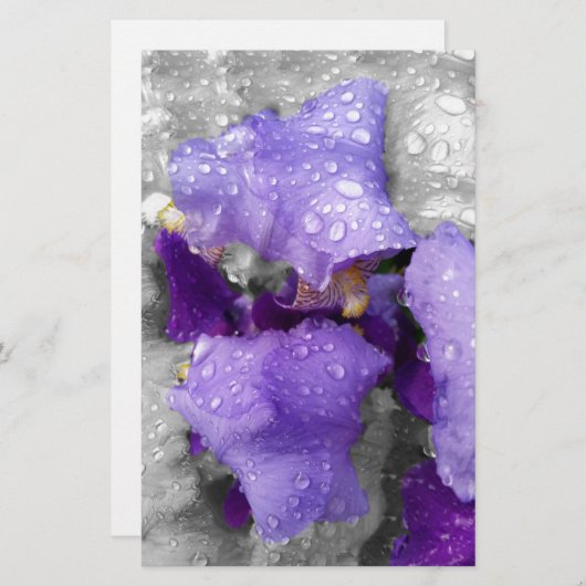 regenval in iris briefpapier (Voorkant / Achterkant)