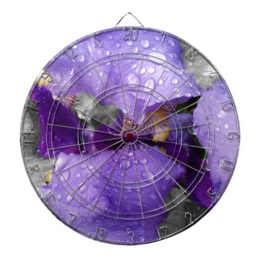 regenval in iris dartbord (Voorkant)