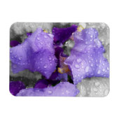 regenval in iris magneet (Horizontaal)