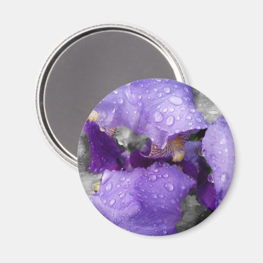 regenval in iris magneet (Voorkant / Achterkant)