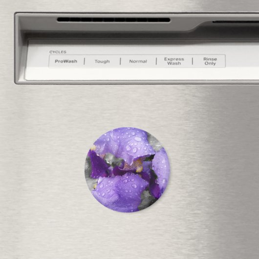 regenval in iris magneet (Insitu (Vaatwasser))