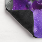 regenval in iris muismat (Hoek)