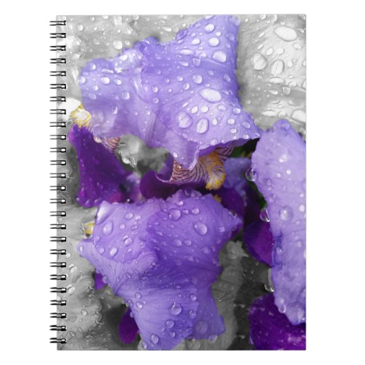 regenval in iris notitieboek (Voorkant)
