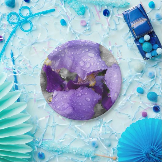 regenval in iris papieren bordje (Feest)