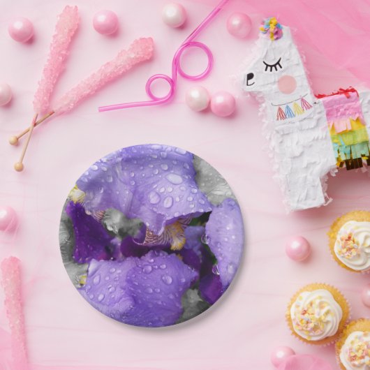 regenval in iris papieren bordje (Feest)