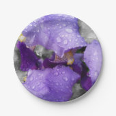 regenval in iris papieren bordje (Voorkant)