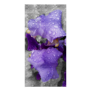 regenval in iris perfect poster