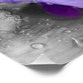 regenval in iris perfect poster (Hoek)