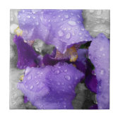 regenval in iris tegeltje (Voorkant)