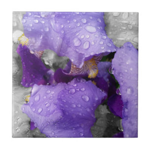 regenval in iris tegeltje