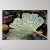 regenval poster (Voorkant)