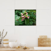 regenval poster (Keuken)