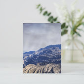 Regenwereld Briefkaart (Staand voorkant)