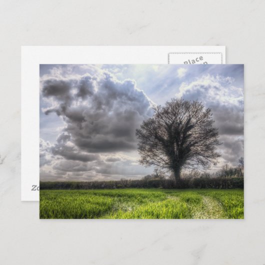 Regenwolken in lente HDR. Briefkaart (Voorkant / Achterkant)