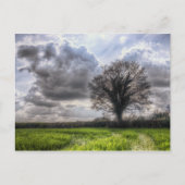 Regenwolken in lente HDR. Briefkaart (Voorkant)