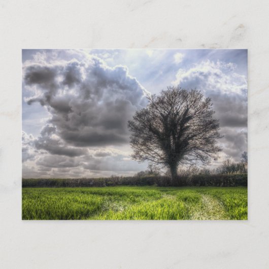 Regenwolken in lente HDR. Briefkaart (Voorkant)