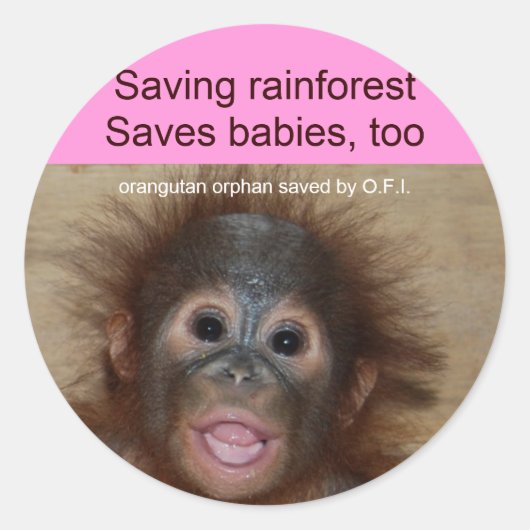 Regenwoud Baby Orangutan Ronde Sticker (Voorkant)
