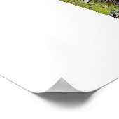 regenwoud Bamboe in het Poster Costa Rica (Hoek)