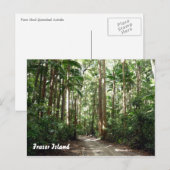 regenwoud briefkaart (Voorkant / Achterkant)