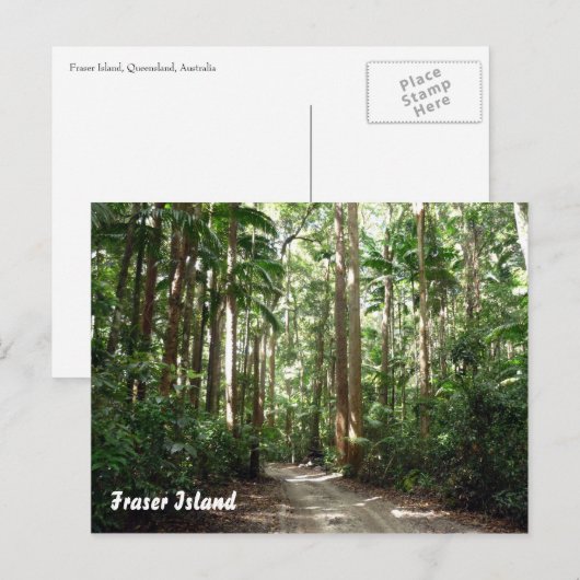 regenwoud briefkaart (Voorkant / Achterkant)