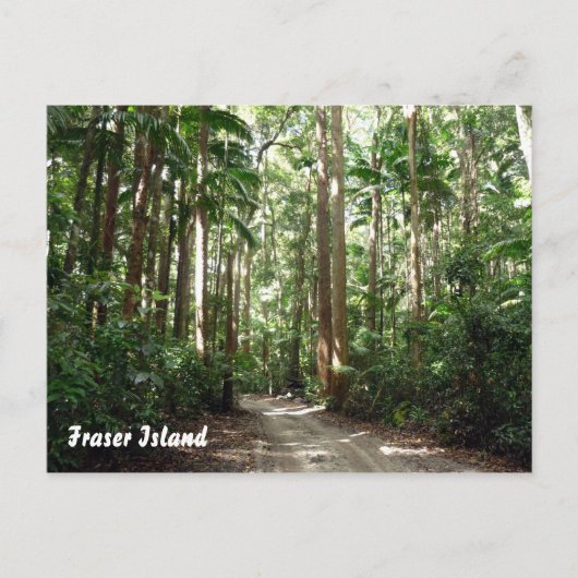 regenwoud briefkaart (Voorkant)