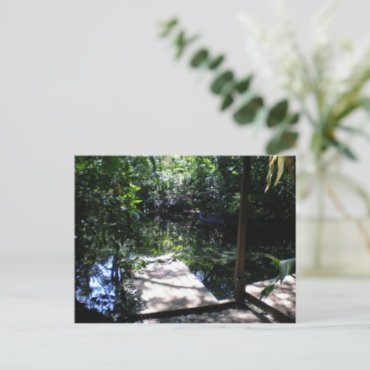 regenwoud briefkaart (Staand voorkant)