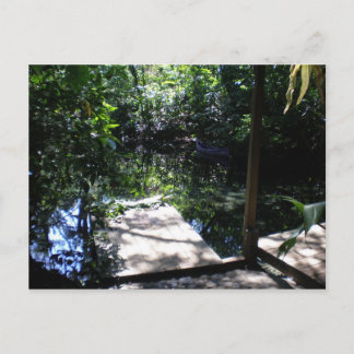 regenwoud briefkaart