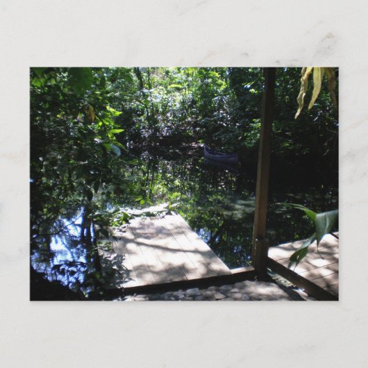 regenwoud briefkaart (Voorkant)