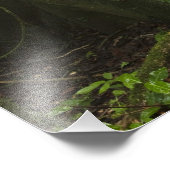 regenwoud, de Mapari Noord-Rupununi Foto Afdruk (Hoek)